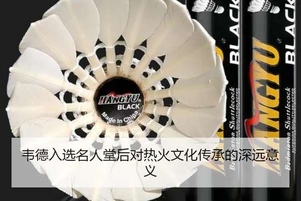 韦德入选名人堂后对热火文化传承的深远意义 | chaofan